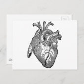 Carte Postale Coeur anatomique vintage (Devant / Derrière)
