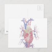 Carte Postale Coeur (Biro) (Devant / Derrière)
