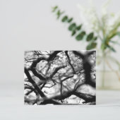 Carte Postale Coeur dans les branches (Debout devant)