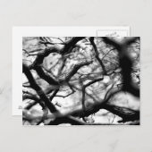 Carte Postale Coeur dans les branches (Devant / Derrière)