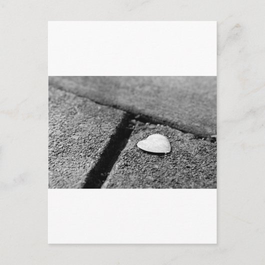 Carte Postale Coeur d'argent sur le trottoir (Devant)