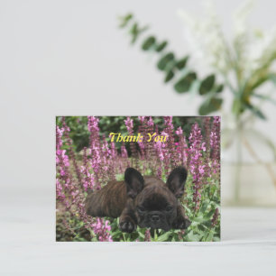 Carte Postale Cœur de Bouledogue Français