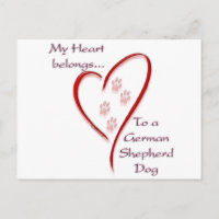 Coeur de chien berger allemand Appartient