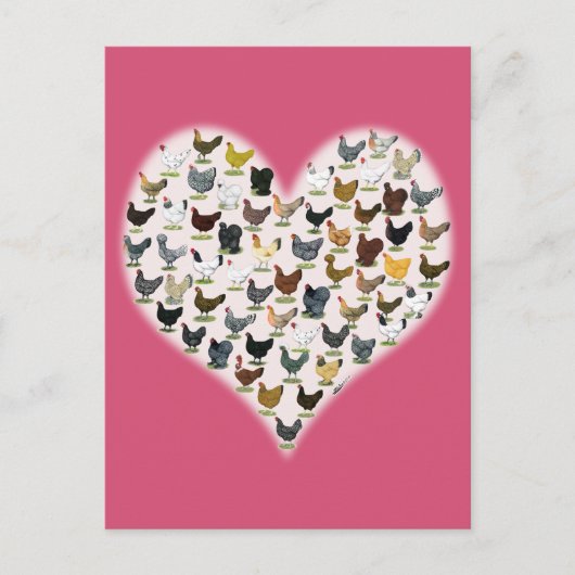 Carte Postale Coeur de poulet (Devant)