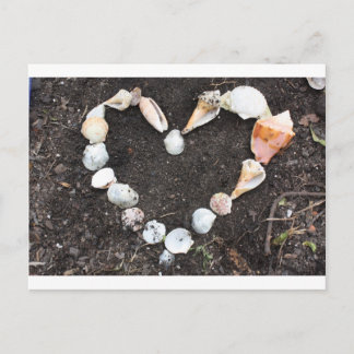 Carte Postale coeur des coquillages