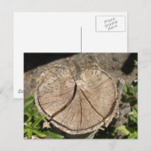 Carte postale Coeur divisé (Devant / Derrière)