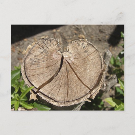 Carte postale Coeur divisé (Devant)