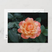 Carte Postale Coeur d'or (Devant / Derrière)