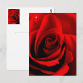 Carte Postale Coeur d'un Rose (Devant / Derrière)