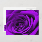Carte Postale Coeur D'Un Rose Violet (Devant / Derrière)