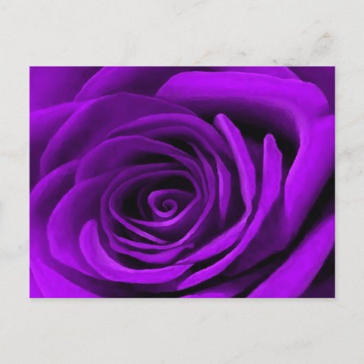 Carte Postale Coeur D'Un Rose Violet (Devant)