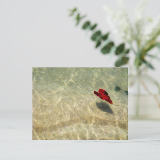 Carte Postale Coeur flottant (Debout devant)