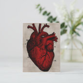 Carte postale Coeur humain (Debout devant)