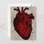 Carte postale Coeur humain (Devant / Derrière)