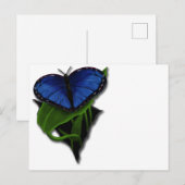 Carte Postale Coeur papillon bleu (Devant / Derrière)