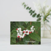 Carte postale Coeur saignant (Debout devant)