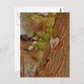 Carte Postale Coeur sculpté dans l'arbre (Devant / Derrière)