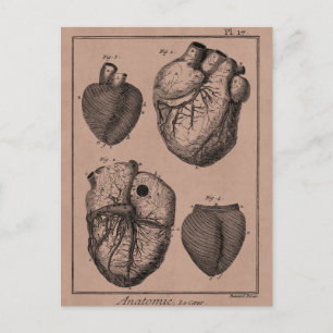 Carte Postale Coeurs cardiaques rétro Cardiac des années 1800 vi