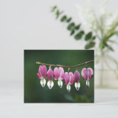 Carte postale Coeurs Dainty (Debout devant)