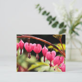 Carte Postale Coeurs délicats en attente (Debout devant)