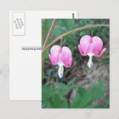 Carte postale Coeurs saignants (Devant / Derrière)