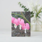 Carte postale Coeurs saignants (Debout devant)