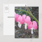 Carte postale Coeurs saignants (Devant / Derrière)