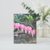 Carte postale Coeurs saignants roses (Debout devant)