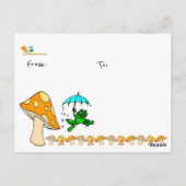 Carte Postale Coffret de grenouille (Dos)