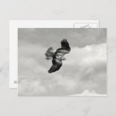 Carte Postale coin (Devant / Derrière)