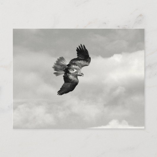 Carte Postale coin (Devant)