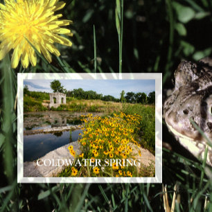 Carte Postale Coldwater Spring Park, Mississippi National River