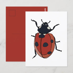 Carte Postale Coléoptères Insecte Coccinelle Coléoptères