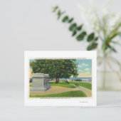 Carte Postale Coles Hill Vue du monument funéraire de Mayflower (Debout devant)