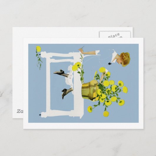 Carte Postale Coles Phillips Fadeaway Chrysanthèmes (Devant / Derrière)