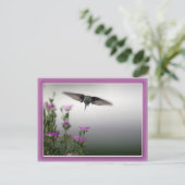 Carte postale Colibri (Debout devant)