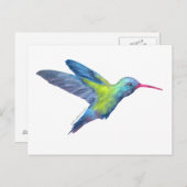 Carte Postale Colibri (Devant / Derrière)