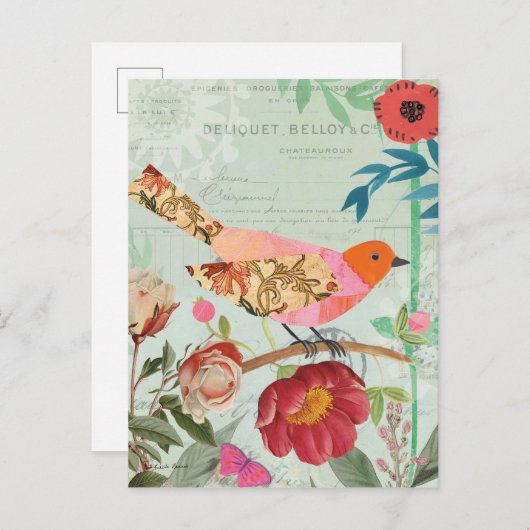 Carte Postale Colibri (Devant / Derrière)