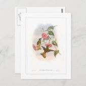 Carte Postale Colibri (Devant / Derrière)