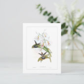 Carte Postale Colibri (Debout devant)