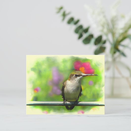 Carte Postale Colibri (Debout devant)