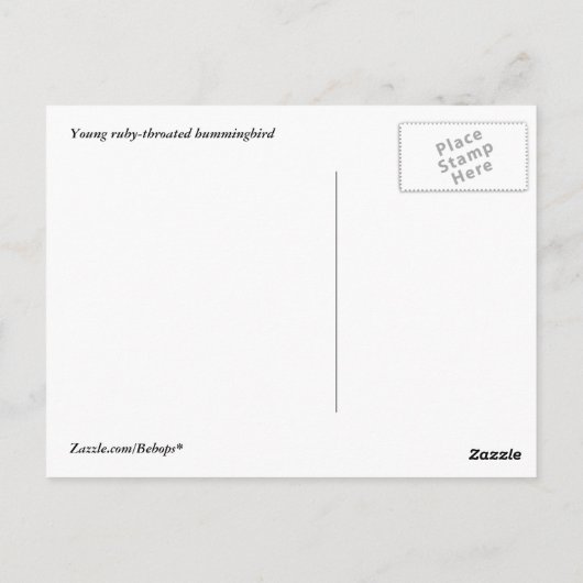 Carte Postale Colibri (Dos)