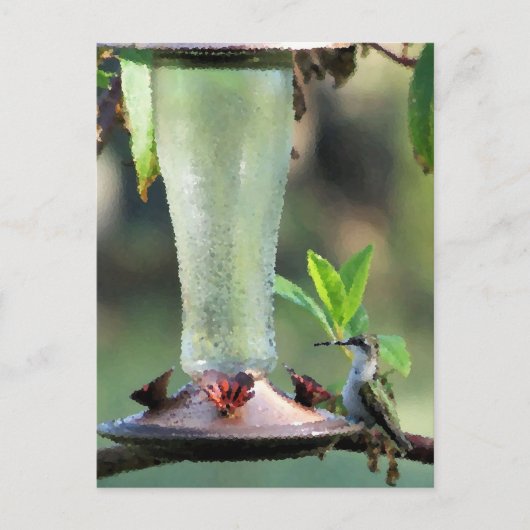 Carte Postale Colibri (Devant)