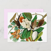 Carte Postale Colibri (Devant / Derrière)