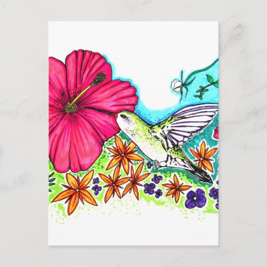 Carte Postale Colibri (Devant)