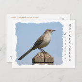 Carte Postale Colibri (Devant / Derrière)