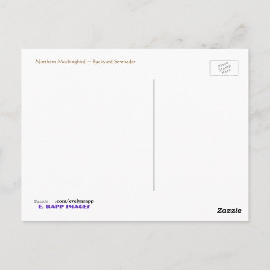 Carte Postale Colibri (Dos)