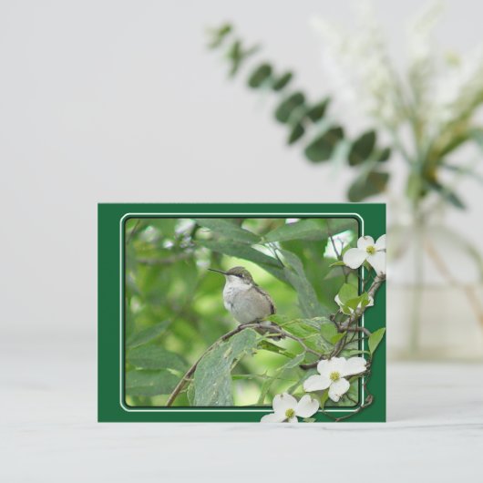 Carte postale Colibri (Debout devant)