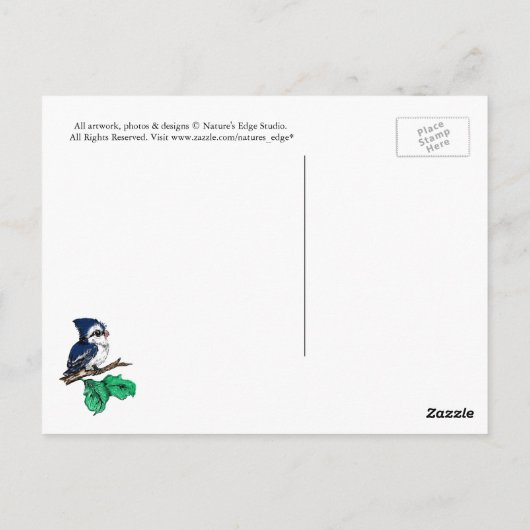 Carte postale Colibri (Dos)