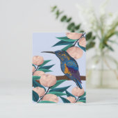 Carte Postale Colibri (Debout devant)